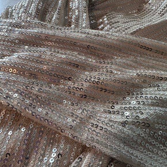 Main Strip Sequin Gold/Tan Blazer - Picture 3 of 5